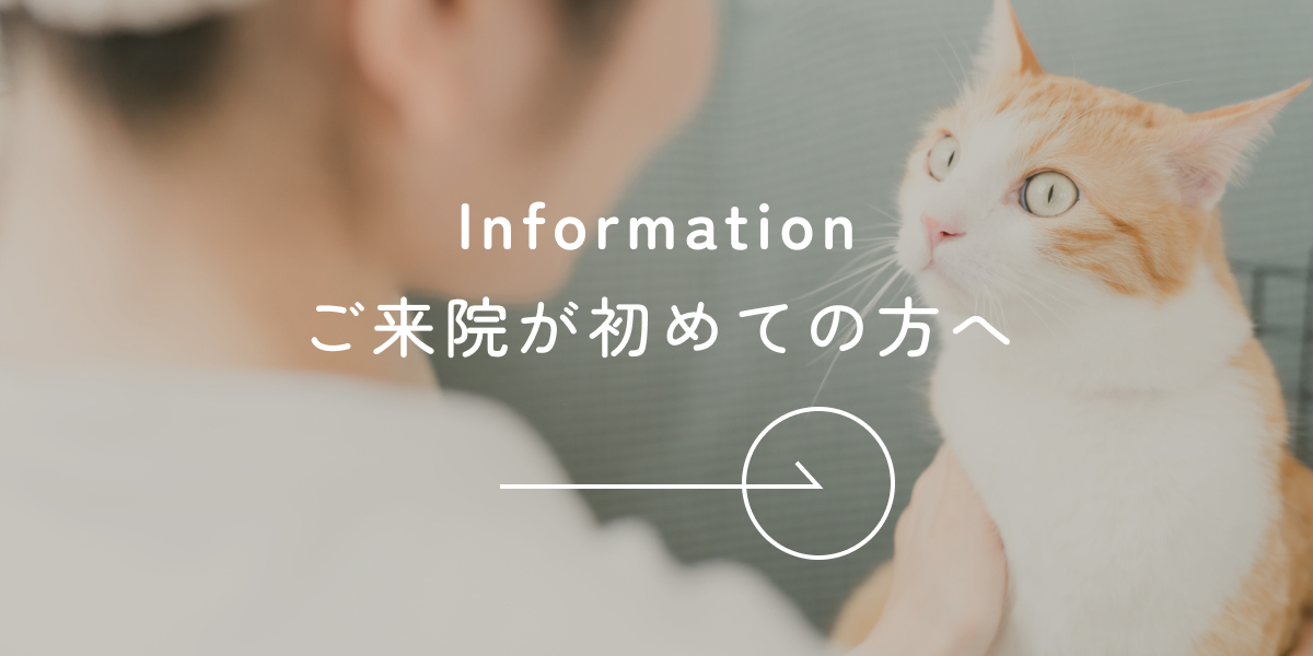 ご来院が初めての方へ