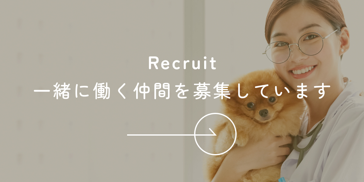 一緒に働く仲間を募集しています