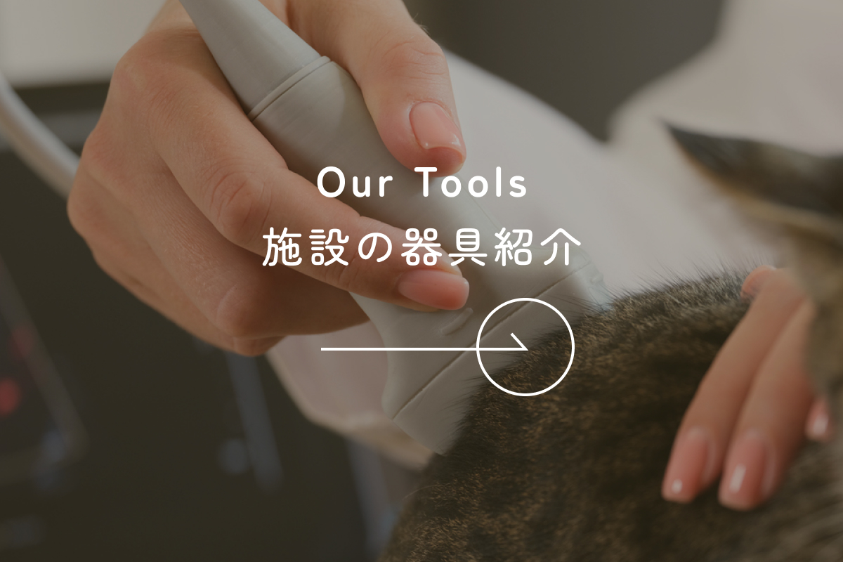 施設の器具紹介