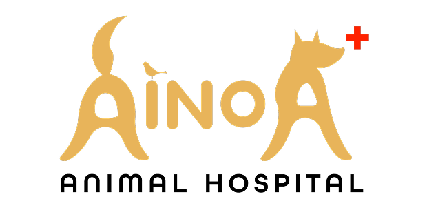 アイノア動物病院